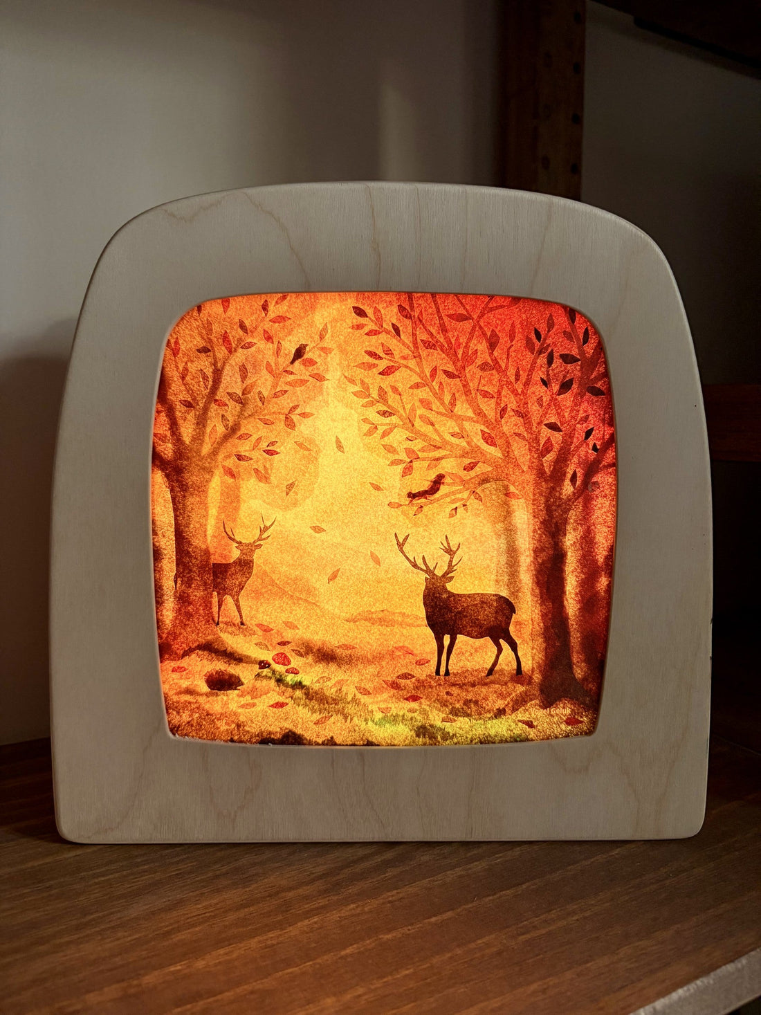 The Magic of the Toverlux Lamp