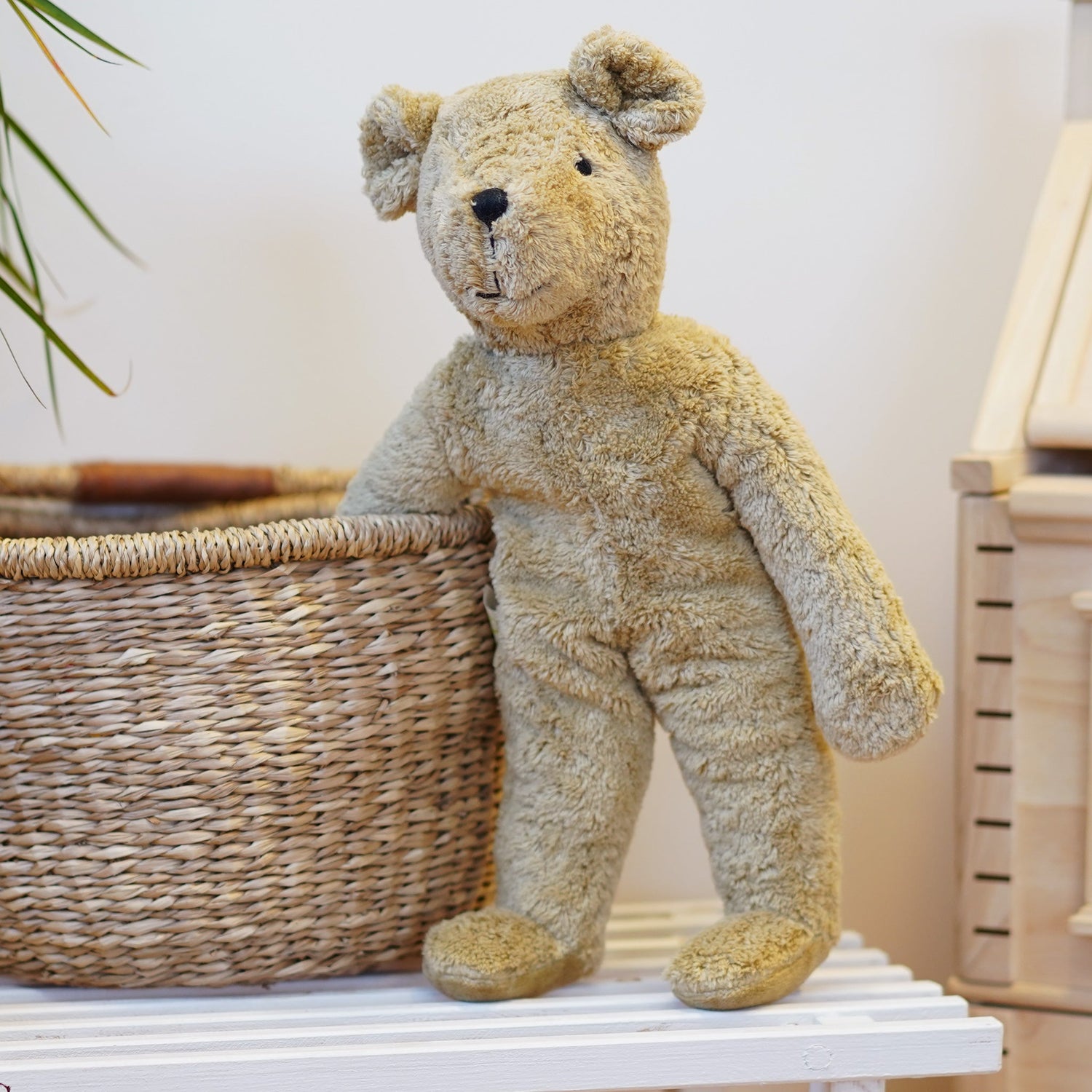 Meet The Bears