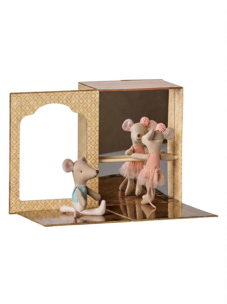Ballet mice in dance studio, Little sister and brother