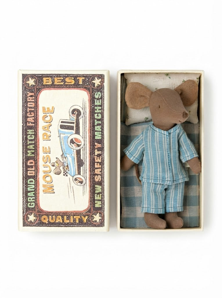 Big brother mouse in matchbox