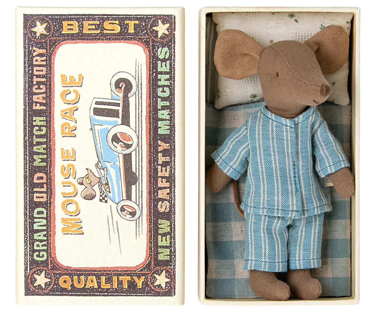 Big brother mouse in matchbox