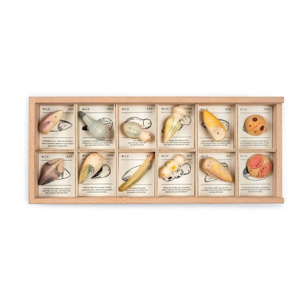 Wild Play Set